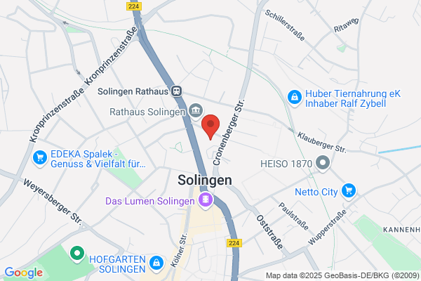 Niehe Lancée, Registeraccountants