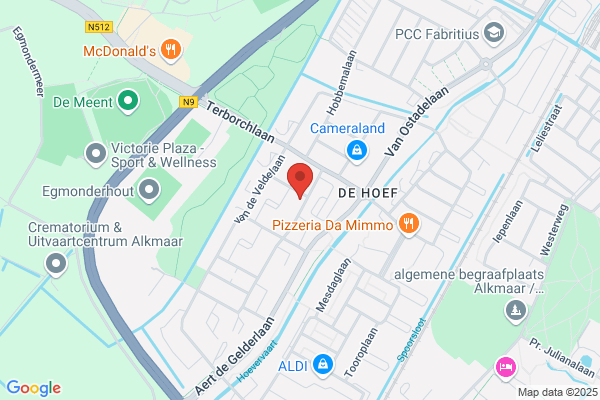 Osteopathie, Praktijk Voor