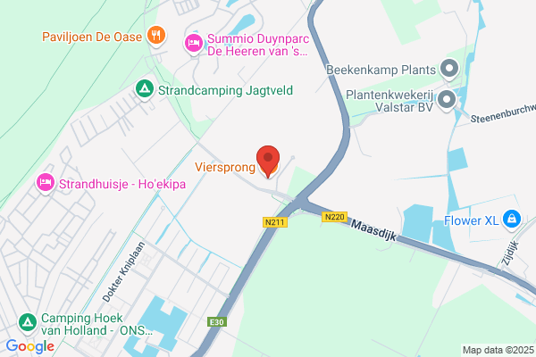 Viersprong, De