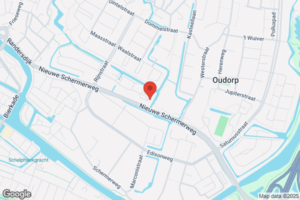 Konijn