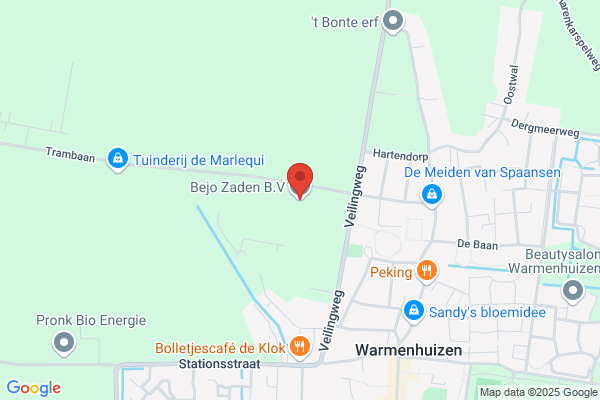 Bejo Druk & Zet Bv