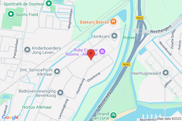 Alkmaarse Motoren Revisie
