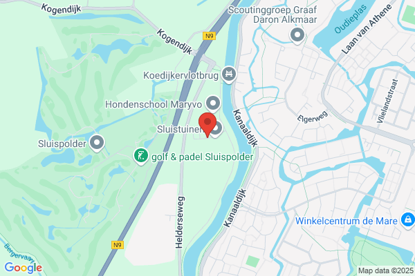 Groene Steen, De
