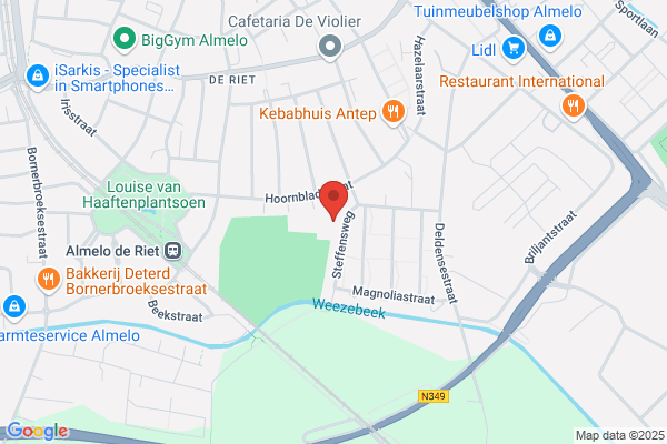 Het Nieuwland