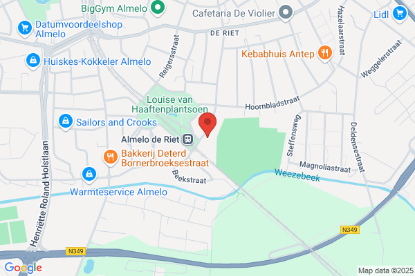 Rietvogels