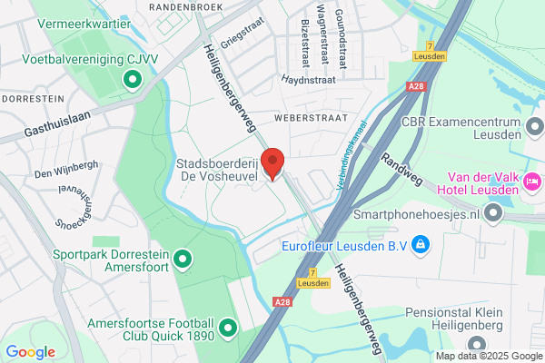 Verhoeve