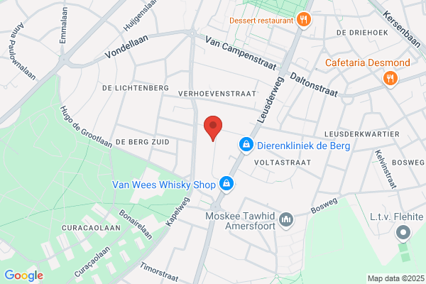 Vries Bv, P W De