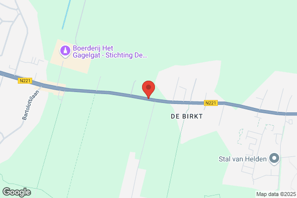 Bosboom