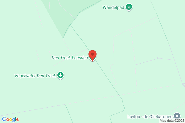 Bos En Heide