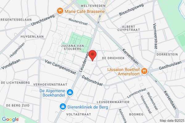 Nederlands Instituut Voor Management Ontwikkeling