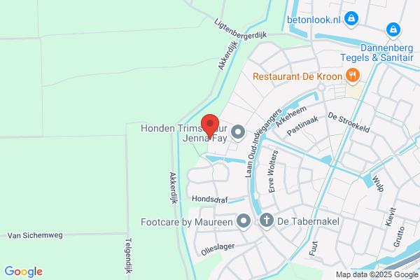 Actief Gevelreiniging