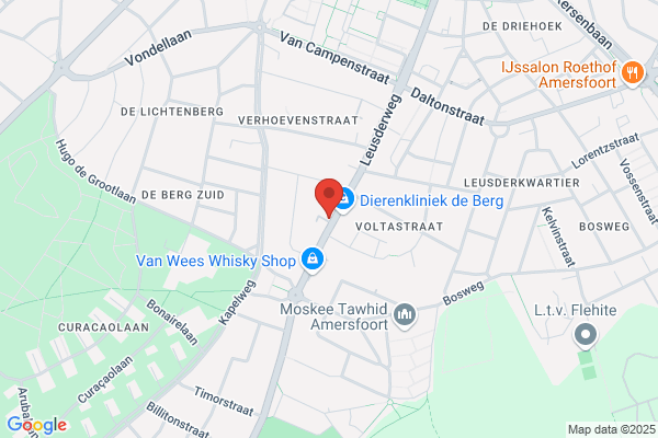 de WIJzaak
