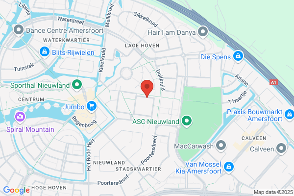 Mickey's Nieuwland