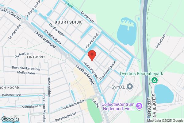Volante, Loopbaanadvies