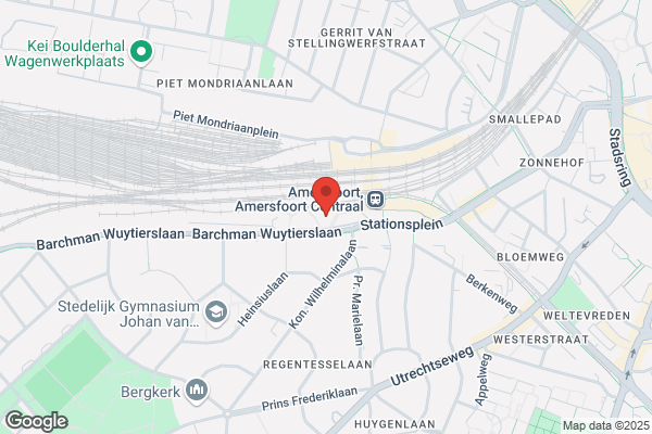 Vereniging Nederlands Astma Fonds