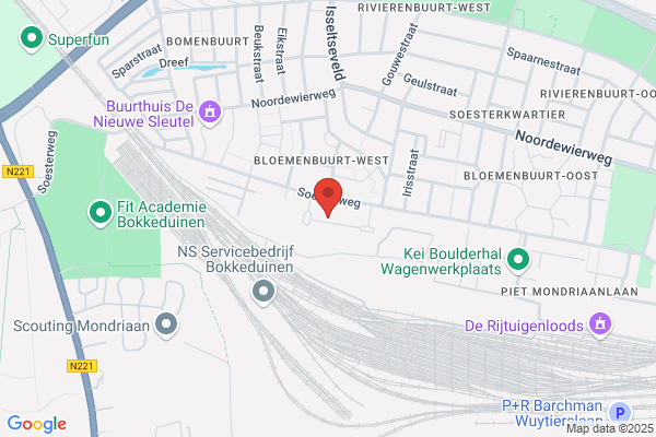 Spierenburg, P