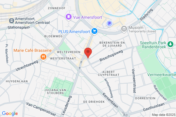 Beelden In Brons