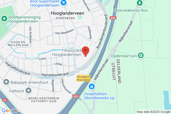 Alignment Europe Bv