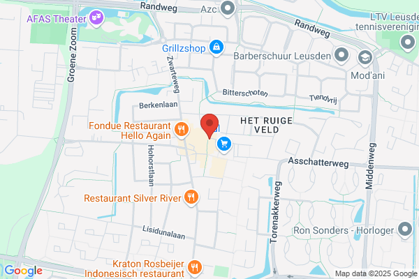 Domino's Pizza Leusden
