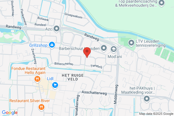 Autorijsch V Daatselaar