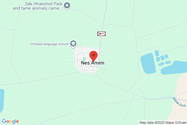Nes Ammim Ned, Sticht