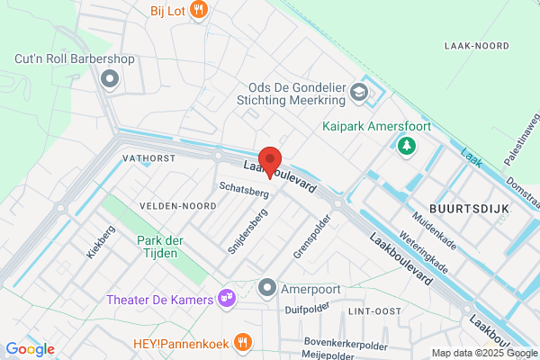 Verkleedfeest, Het