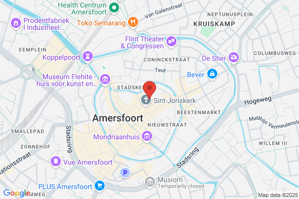 Filmhuis, Het