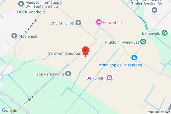 Meyer En Van Schooten Bv