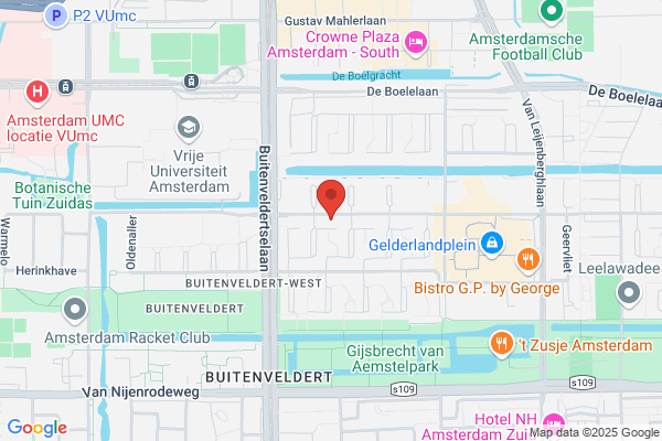 Body Basics