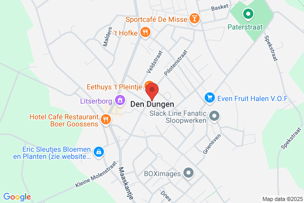 C.M. Van Den Dungen