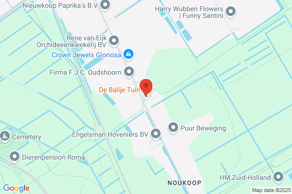 Brede Hoek, De