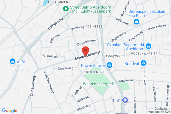 Consult & Accounting Nederland Bv