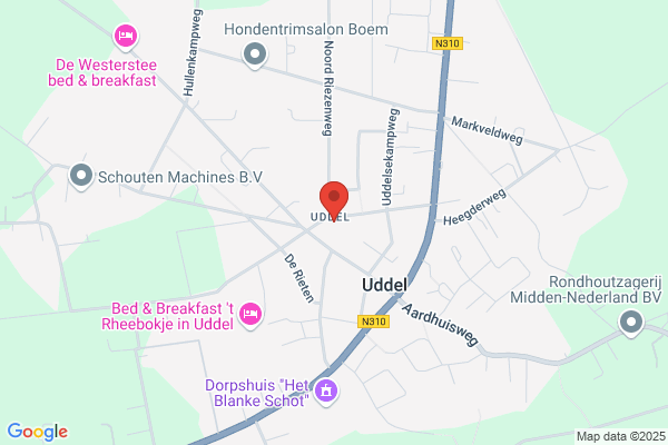 Ceelie Management Consultants Bv