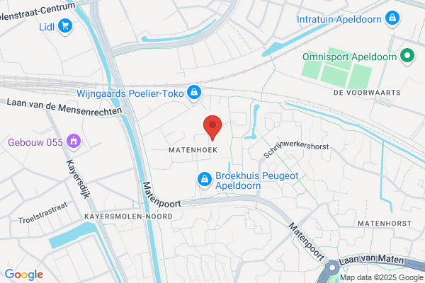 W.J. Brummelkamp