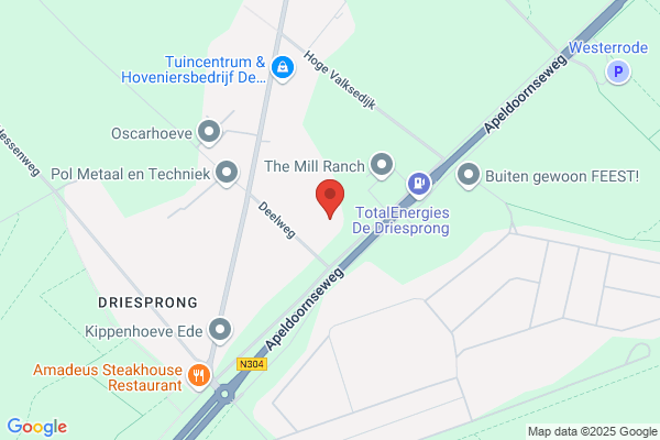 Elshoeve, De