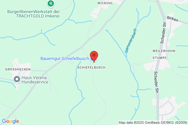Ehrbecker Schiefelbusch