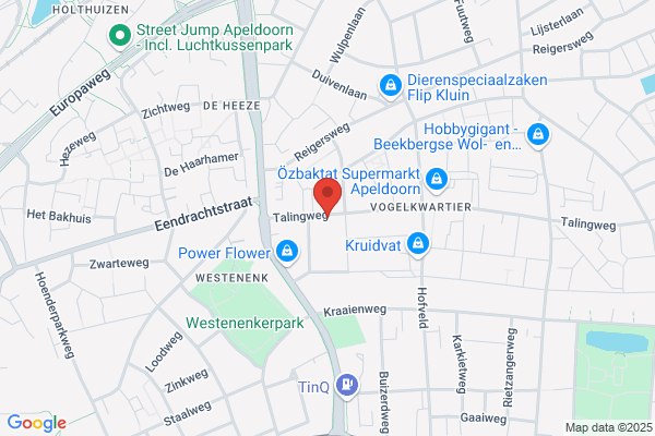 Islamitische Sticht Ned