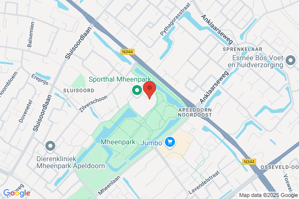 Anne-Mieke Korts, Drs
