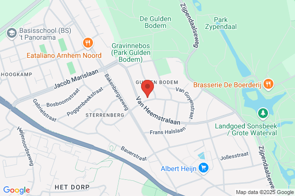 Klassieke Homeopathie Resonans Gulden Hart