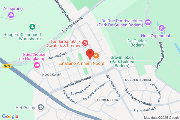 Kok De Koning