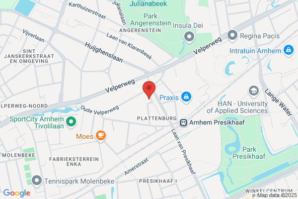 Asselt, Van