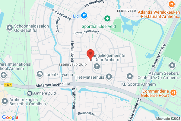 Paddy's Hondenuitlaatservice