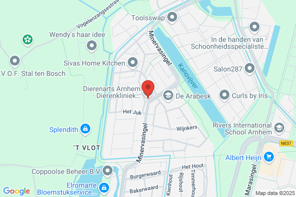 Dierenarts Arnhem - Dierenkliniek Heteren