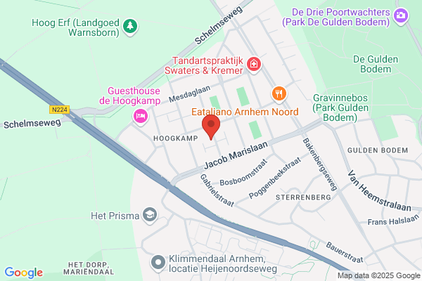 Petra in 't Veld Mediation Coaching & Begeleiding