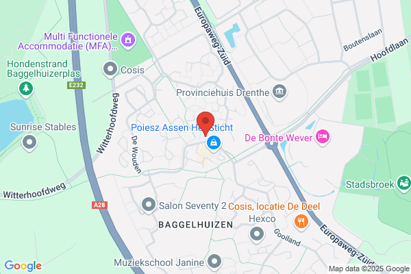 Draaiorgelvrienden Assen St