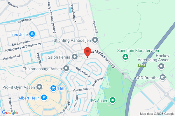 Hoendervanger