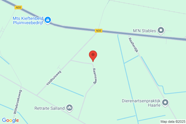 Van Diemen Bv