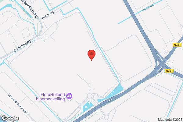 De Haas Bloemenexport