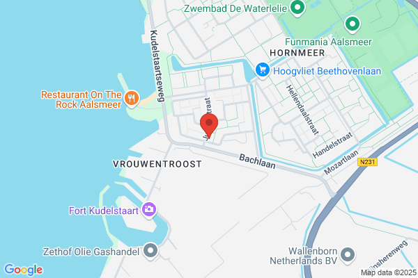 Pioenen Om Te Zoenen