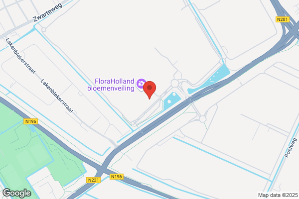 Dings Bv, Leon